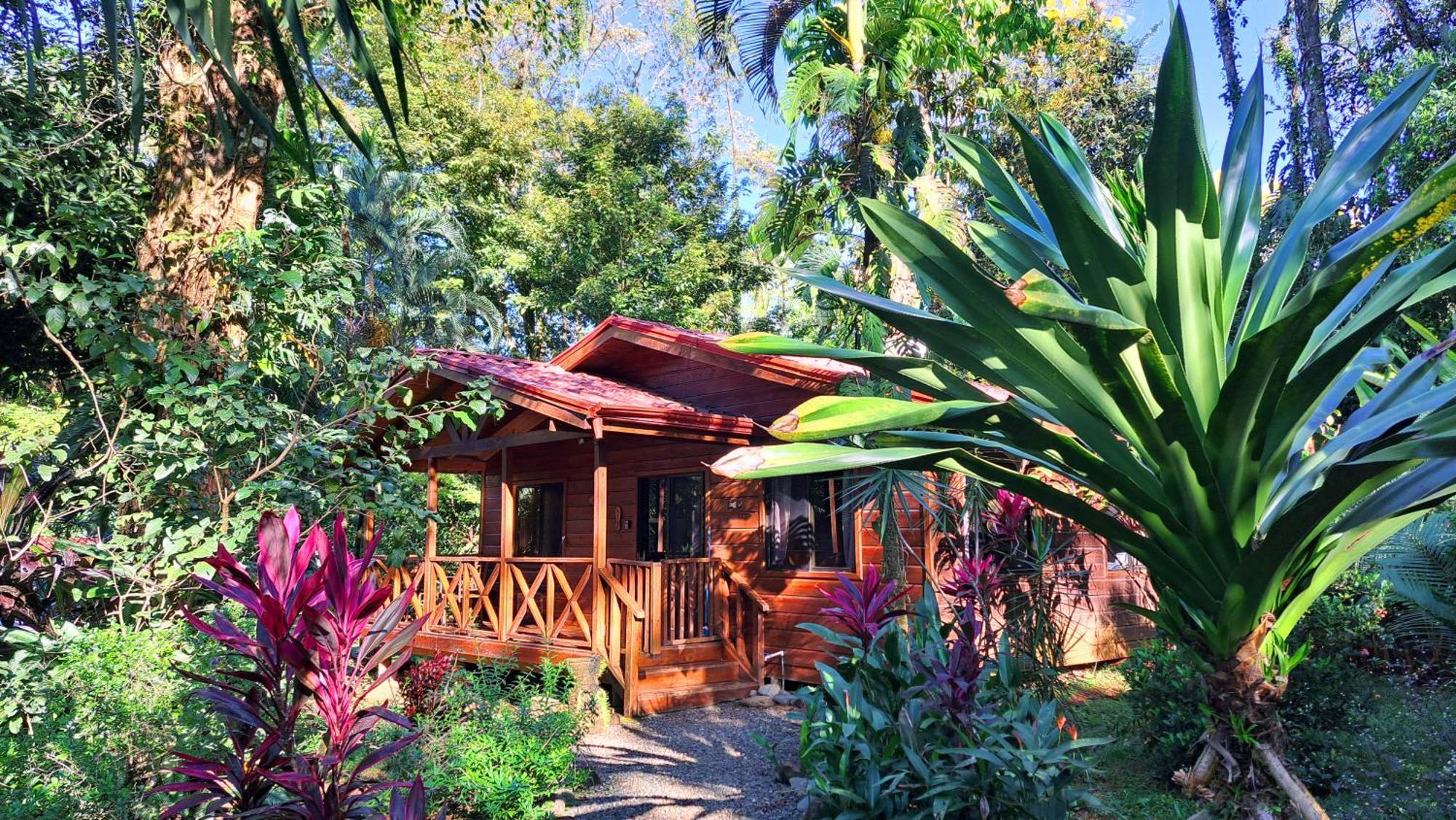 Cabinas Costa Tropicana Uvita Dış mekan fotoğraf