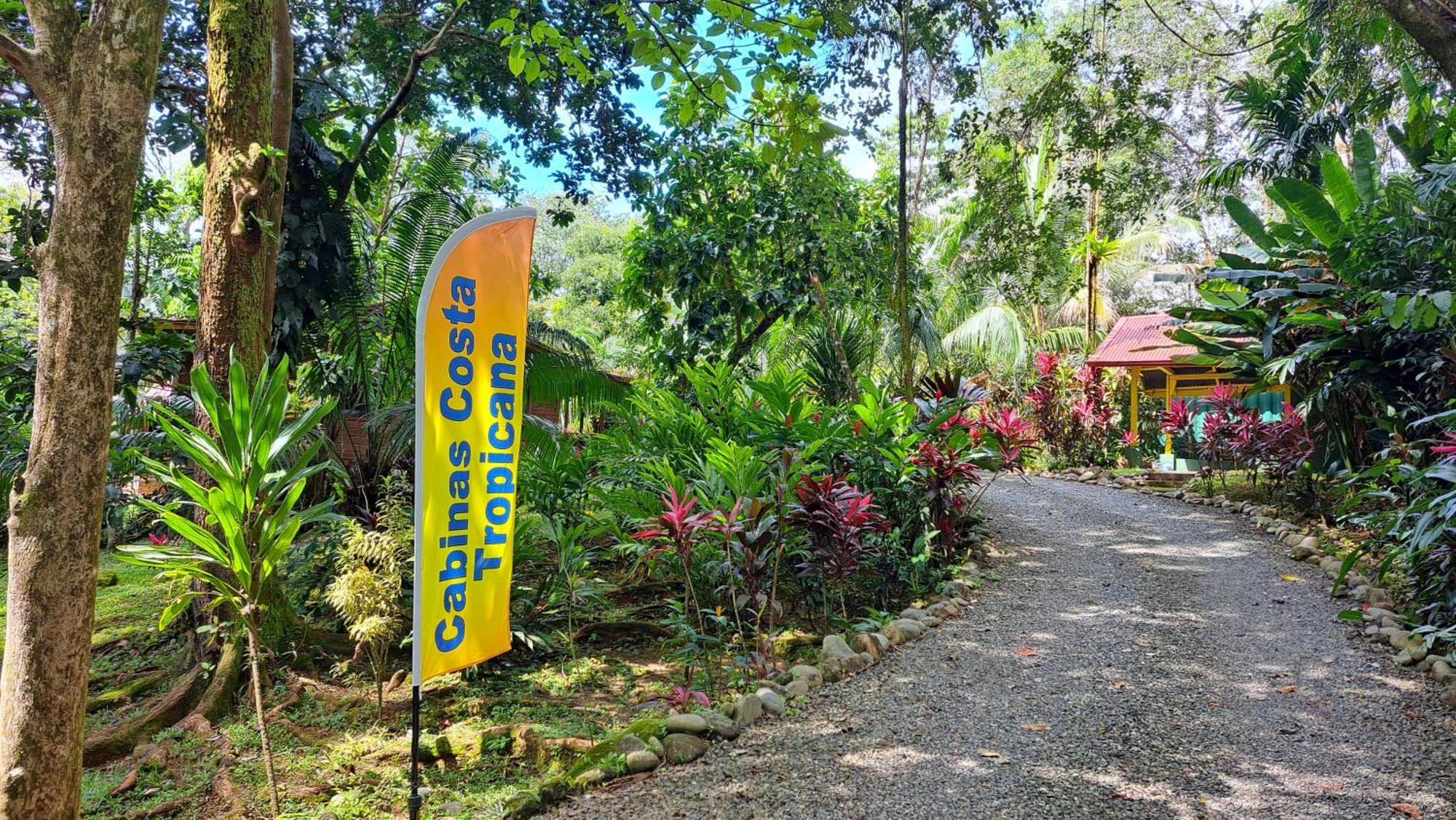 Cabinas Costa Tropicana Uvita Dış mekan fotoğraf