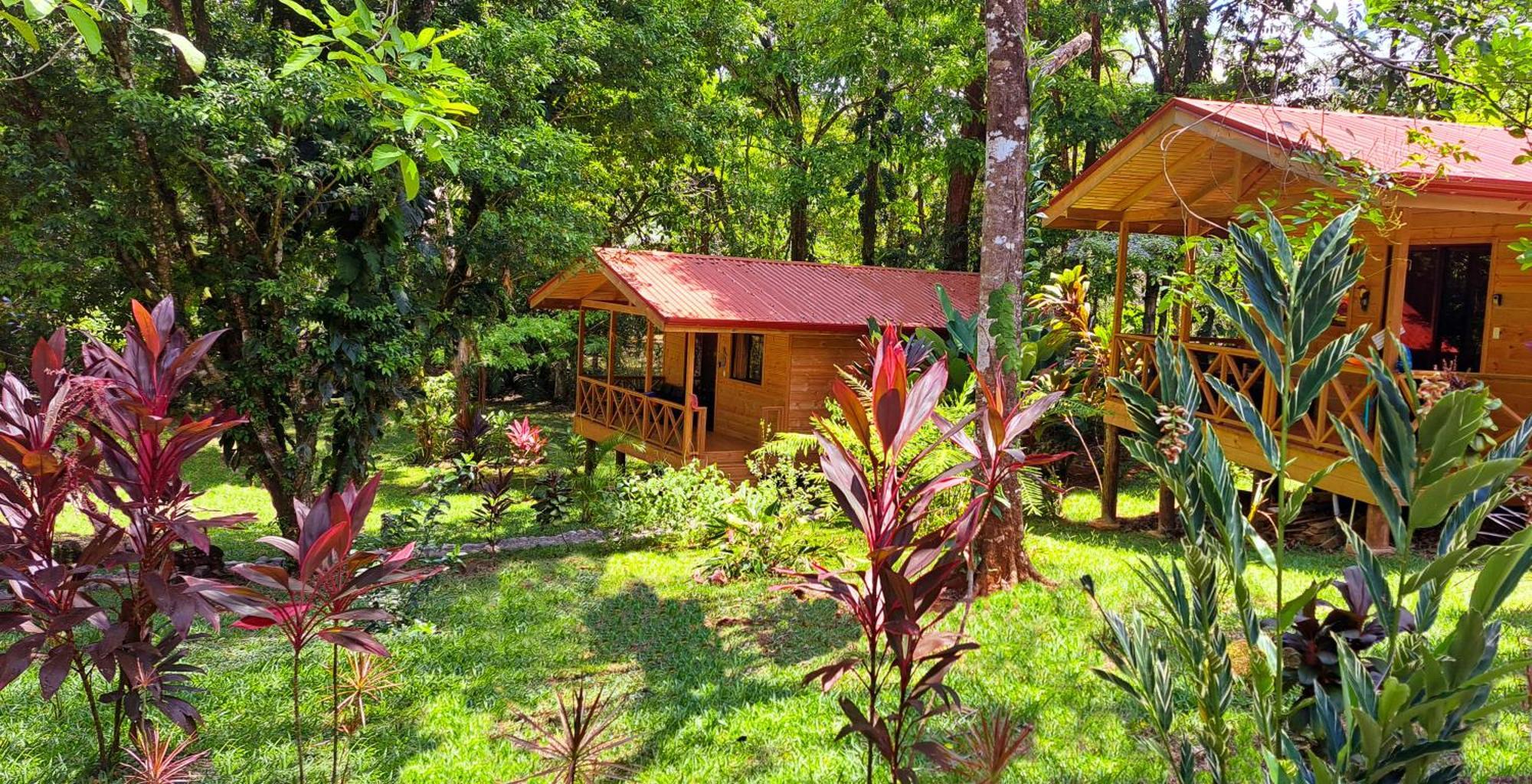 Cabinas Costa Tropicana Uvita Dış mekan fotoğraf